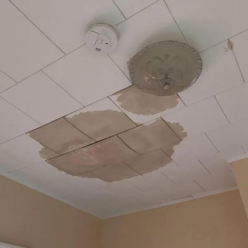 Ceiling Water Damage Repair in Hemby Bridge, NC
